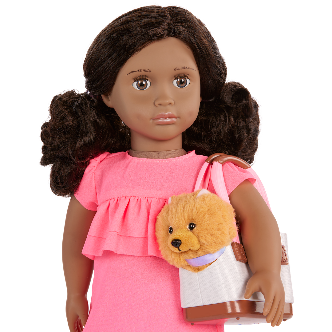 Our Generation 46cm Doll Ayanna and her pet dog Goldie and dog accessories