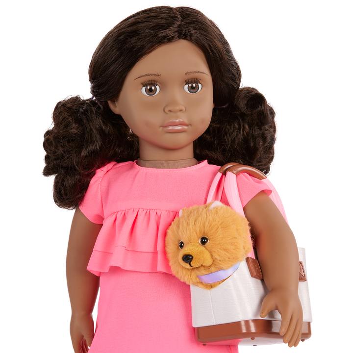 Our Generation 46cm Doll Ayanna and her pet dog Goldie and dog accessories